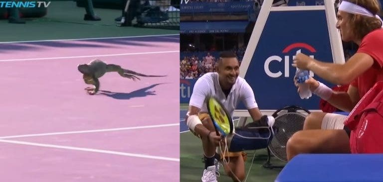 [VIDEO] 10 Momentos que nunca pensaste ver en una cancha de tenis