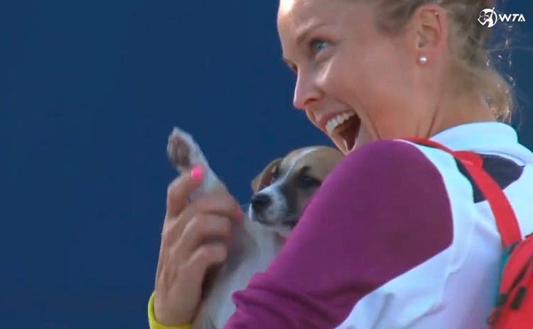 Tenistas de la WTA entran con perritos a la cancha por una buena causa