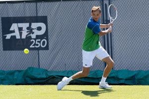 daniil-medvedev-atp-hierba