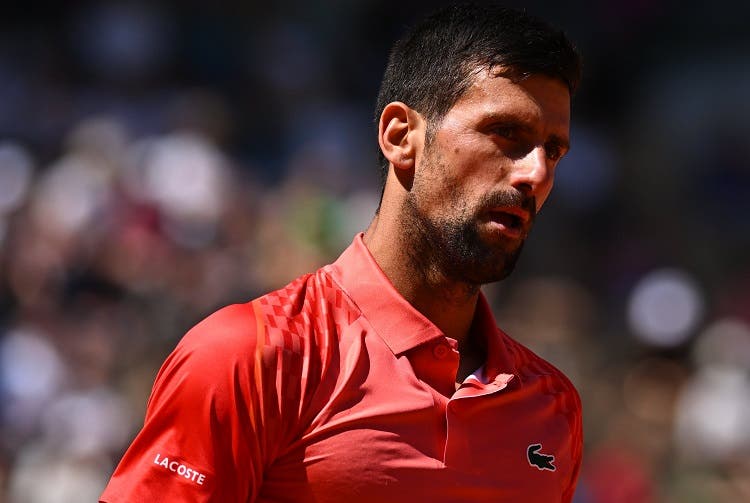 Djokovic y la eliminación en Copa Davis: «Es una gran decepción y asumo la responsabilidad»