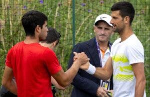 alcaraz-djokovic-wimbledon